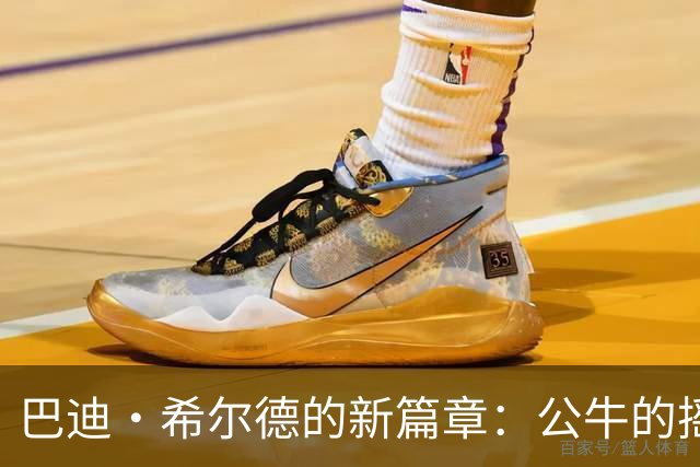 巴迪·希尔德的新篇章：公牛的摇滚之旅