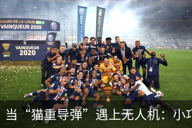 当“猫重导弹”遇上无人机：小巧反击，大有可为！
